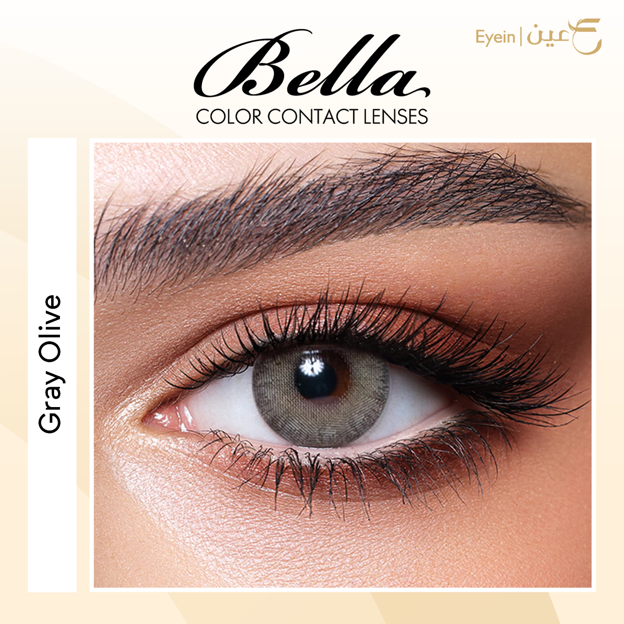 عدسات بيلا - ايليت - غراي اوليف